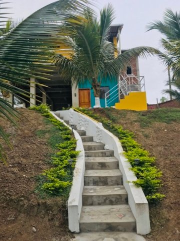 One of the many walkways on the property