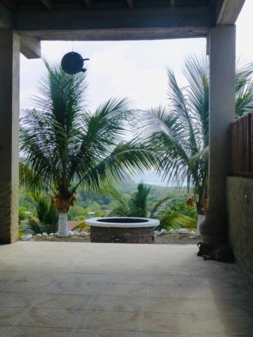 The firepit - PC14012025