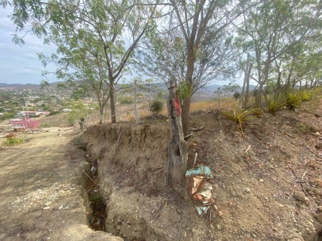 General View #PL08012025