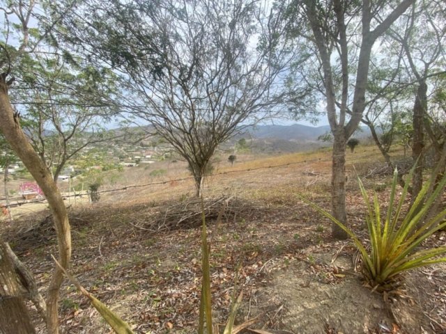 General View #PL08012025