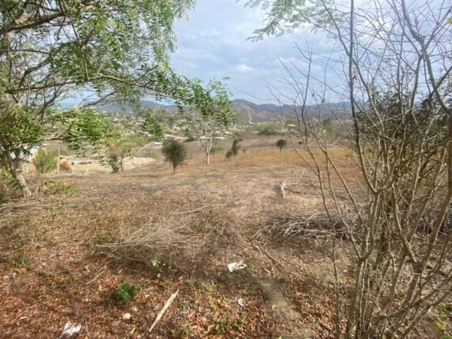 General View #PL08012025