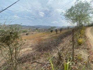 General View #PL08012025