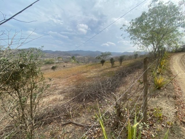 General View #PL08012025