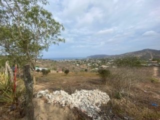 General View #PL08012025