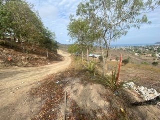 General View #PL08012025