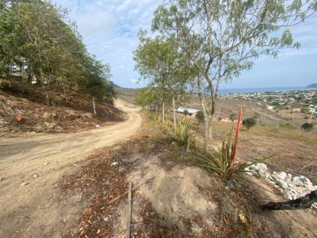 General View #PL08012025