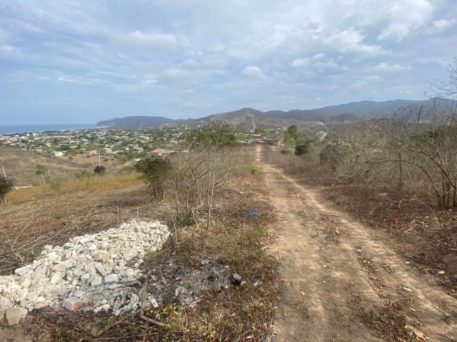 General View #PL08012025