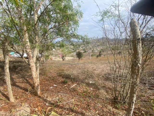 General View #PL08012025