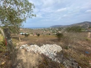 General View #PL08012025